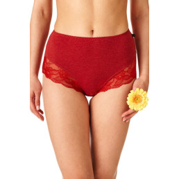 LPF 224 B22 Трусы высокие 2 шт. в упаковке Красный + зеленый