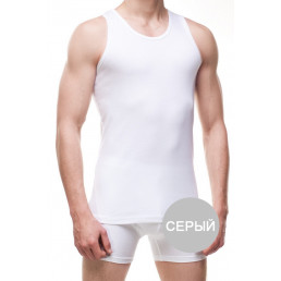 213 AUTHENTIC AU Майка мужская Серый